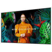 SAMSUNG QM50C UHD-Display 125.7 cm (49.5 Zoll)