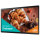 Samsung Smart Signage QB24C-T 60.00cm(24") Cap.Touch