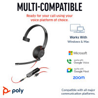 HP Poly Blackwire 5210 Monaural USB-C Headset +3.5mm Plug +USB-C/A Adapter (207577-201)