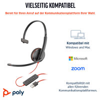 HP Poly Blackwire C3210 USB-C/ A Mono
