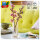 LEGO Iconic Kirschblüten 40725