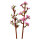 LEGO Iconic Kirschblüten 40725