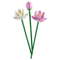 LEGO Botanical Collection Lotusblumen
