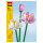 LEGO Botanical Collection Lotusblumen