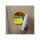 Shelly Relais "Plus RGBW PM" WLAN Bluetooth LED Lichtcontroller Unterputz