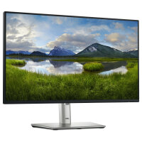 60,47cm/23,8" (1920x1080) Dell P2425H 16:9 FHD IPS 5ms 100Hz HDMI DP VGA USB-C Black/Silver