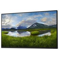 60.47cm/23.8" (1920x1080) Dell P2425H Without Stand...