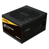 750W Enermax Revolution D.F.12 ETV750G| 80+ Gold Kabelmanagement ATX 3.1