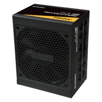 750W Enermax Revolution D.F.12 ETV750G| 80+ Gold Kabelmanagement ATX 3.1