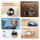 ANKER Soundcore AeroClip blue Open-Ear Clip-Earbuds Hi-Res Sound LDAC NC IP55 KI-gesttzte Telefonate