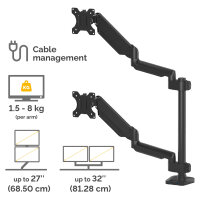 Fellowes Platinum Monitorarm zweifach vertikal inkl. 2x USB-A Port Schwarz