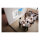 (1920 x 1080) Epson EB-FH18 Projektor 4100 Lumen 3LCD Speaker White FHD