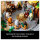 LEGO Icons Herr der Ringe Bruchtal 10316