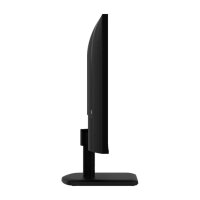 PRO MP251LDE E2 24.5" (62cm) IPS 120Hz HDMI SI-Ware