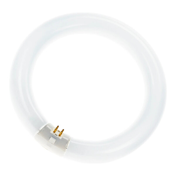 Ringform L 40W/840 C G10Q Neutralweiss T9
