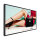 PHILIPS H-Line 75BDL4003H 24/7/UHD/3000cd/semi-outdoor (Speditionsversand)