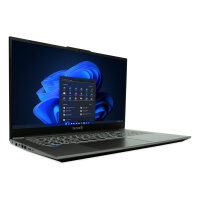 TERRA MOBILE 1717R i5-1334U W11P