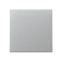 GIRA 329626 Wippe System 55 F Alu
