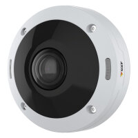 Axis Netzwerkkamera Panorama Mini Fix Dome M4308-PLE 180/360°