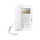 Fanvil H5-White