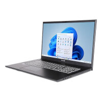 TERRA MOBILE 1716R i5-1334U W11