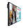 PHILIPS P-Line 50BDL6017P 127,0cm(50") 24/7/UHD (Speditionsversand)
