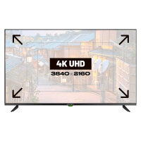 109,2cm/43" (3840x2160) JAPANNEXT JN-IPS430UHD60F 16:9 IPS 60Hz HDMI USB WLAN Speaker Black
