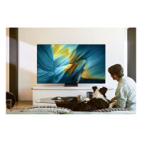 138cm/55" (3840x2160) Samsung GQ55S95FAT 16:9 OLED 144Hz 4x HDMI 2.1 3x USB LAN WLAN Twin-Tuner Dolby Atmos HDR10+ Titan Black