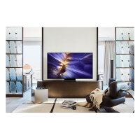 121cm/48" (3840x2160) Samsung GQ48S90FAE 16:9 OLED 144Hz 4x HDMI 2.1 2x USB LAN WLAN Twin-Tuner Dolby Atmos HDR10+ Titan Black