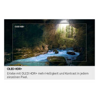 138cm/55" (3840x2160) Samsung GQ55S90FAE 16:9 OLED 144Hz 4x HDMI 2.1 2x USB LAN WLAN Twin-Tuner Dolby Atmos HDR10+ Titan Black