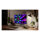 Philips 68,5cm (27,0") 27E3U7903 16:09 HDMI+DP+USB+C 5K Li.