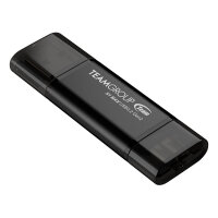 STICK Team Group X1 MAX 256 GB