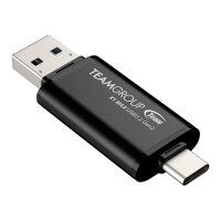 STICK Team Group X1 MAX 256 GB