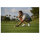 Amazfit Balance 2 48mm Black Smartwatch HYROX-Modus