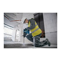 Bosch GBH 18V-24 C (solo. L)