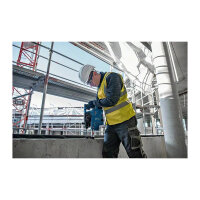 Bosch GBH 18V-24 C (solo. L)
