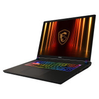 MSI Vector 17 HX AI A2XWHG-041 (grau. Intel Core? Ultra 9...