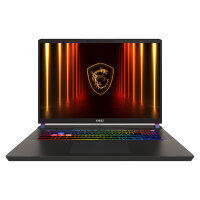 MSI Vector 17 HX AI A2XWHG-041 (grau. Intel Core? Ultra 9...