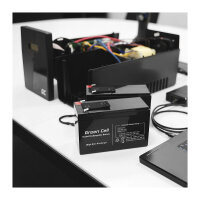 Green Cell Ersatzbatterie AGM50 12V/10Ah AGM