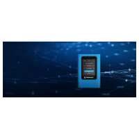 3.84TB Kingston IronKey Vault Privacy 80 USB 3.2 Gen 1