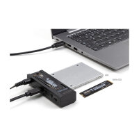DELOCK USB Type-C Konverter fur 1 x M.2 NVMe SSD + 1 x SATA SSD / HDD mit Klon Funktion