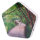 Olympia Sound of Nature Box 1 Stk.