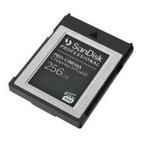 Card Sandisk Professional PRO-CINEMA 256GB express VPG400...