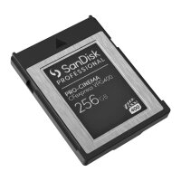 Card Sandisk Professional PRO-CINEMA 256GB express VPG400 Type B Card upto 1700MB/s Read 1400MB/s Write