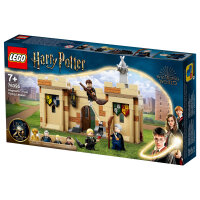 LEGO Harry Potter Hogwarts Erste Flugstunde 76395
