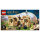 LEGO Harry Potter Hogwarts Erste Flugstunde 76395