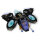 LEGO Marvel - Shuris Sonnenvogel
