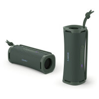 Sony ULT FIELD 1 Bluetooth Speaker grey
