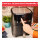 Tefal Easy Fry & Grill XL Precision Heißluftfritteuse