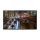 AG neovo SMQ-5501 138.7cm(55") black (Speditionsversand)